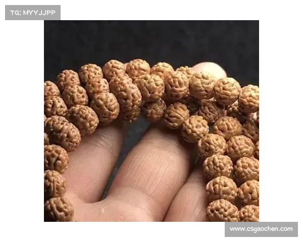 神器通天启示录:新手到神作的进阶指南 神器通天启示录:新手到神作的进阶指南